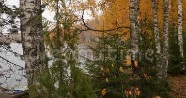 秋<strong>季</strong>博罗耶湖沿岸地区景观，湖面上的码头，俄罗斯瓦尔达国家公园，色彩<strong>缤纷</strong>，色彩多元
